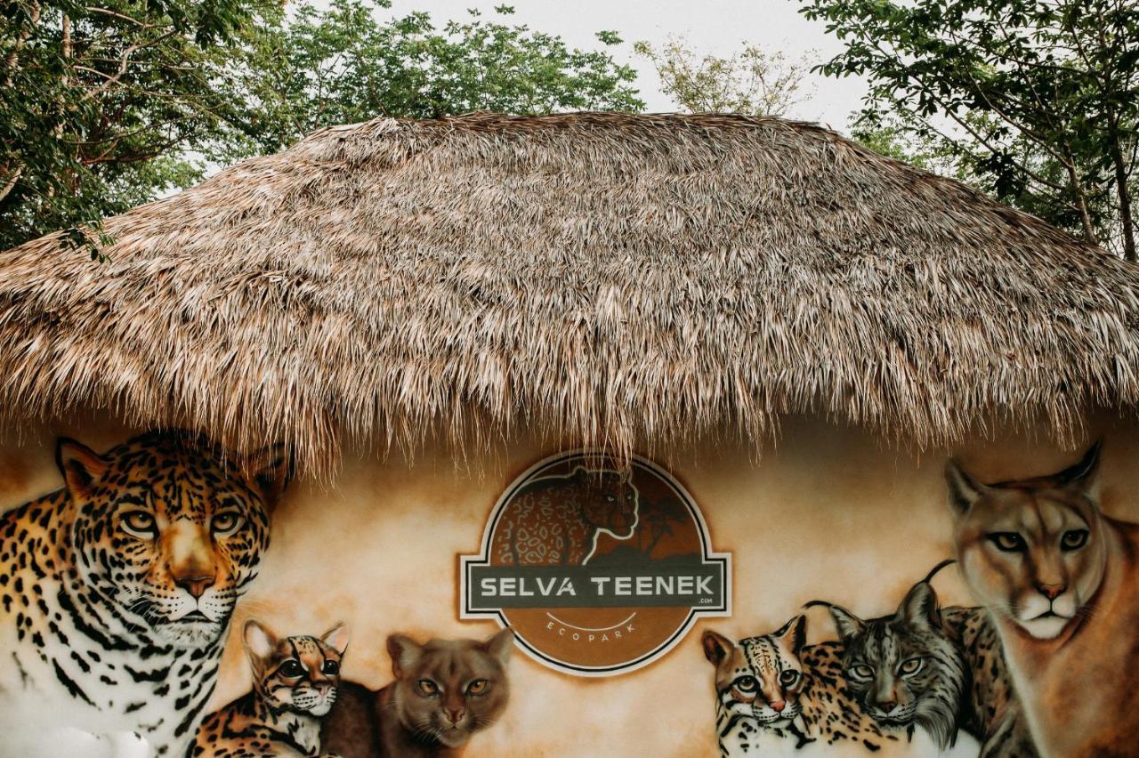 Selva Teenek Eco-Park Ciudad Valles Exterior foto